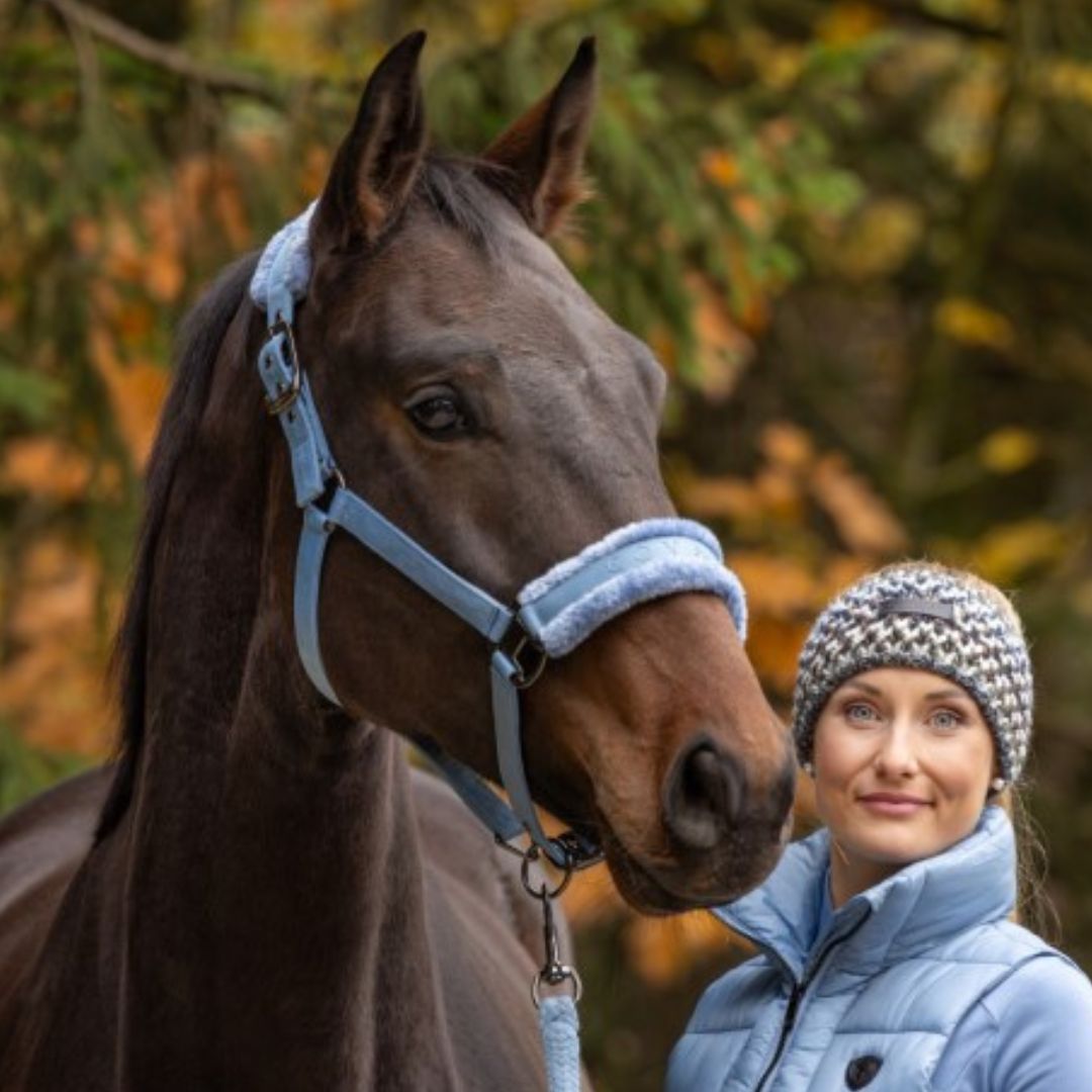 Covalliero Horse Halter in Winter Sky