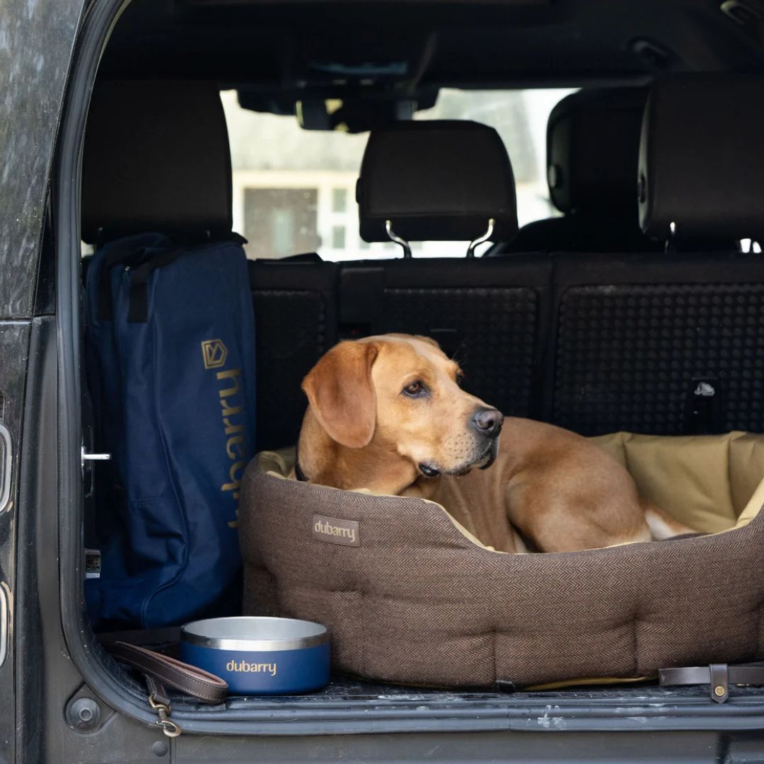 Dubarry Buster Tweed Dog Bed in Mocha