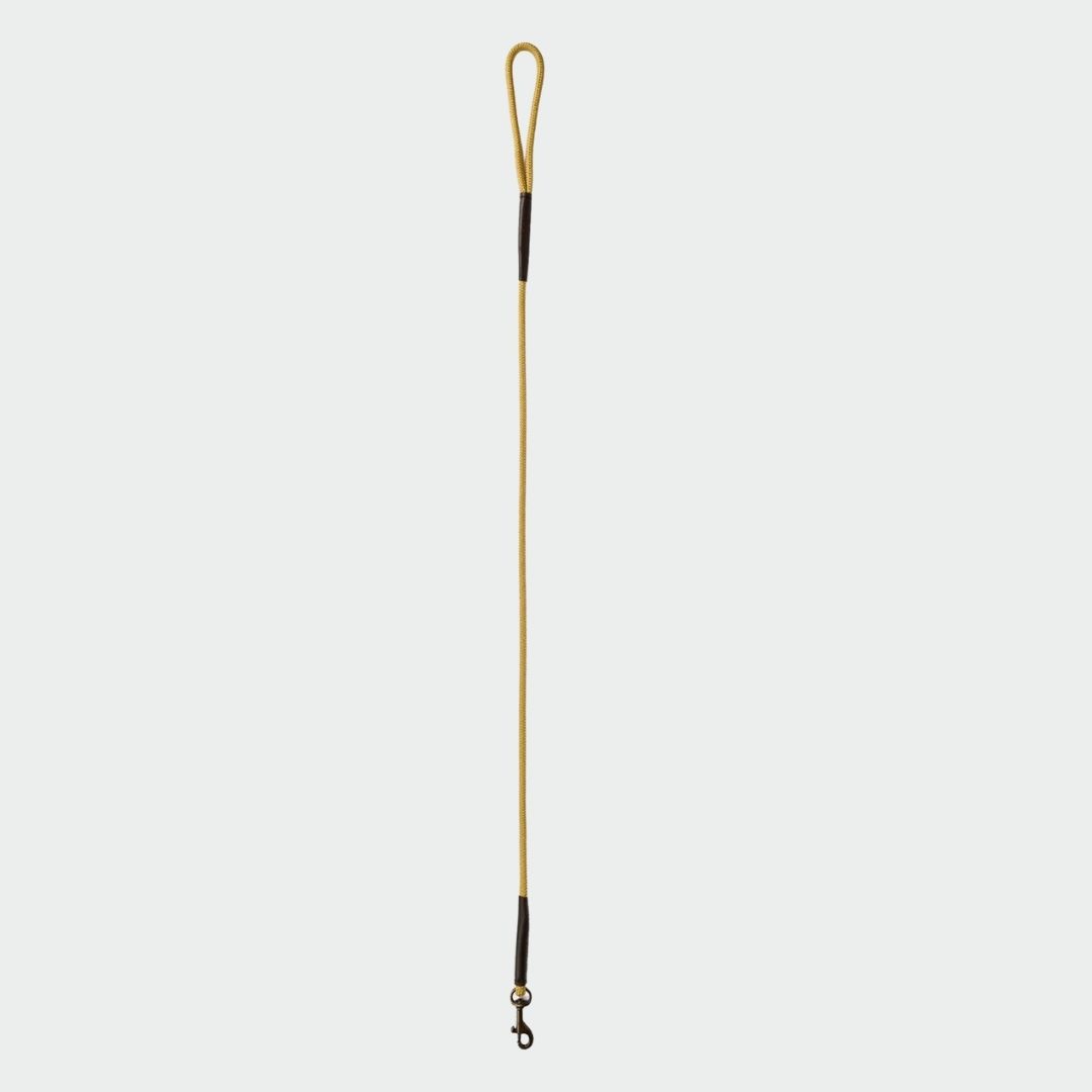 Dubarry Charlie 4ft Rope Dog Lead in Gold