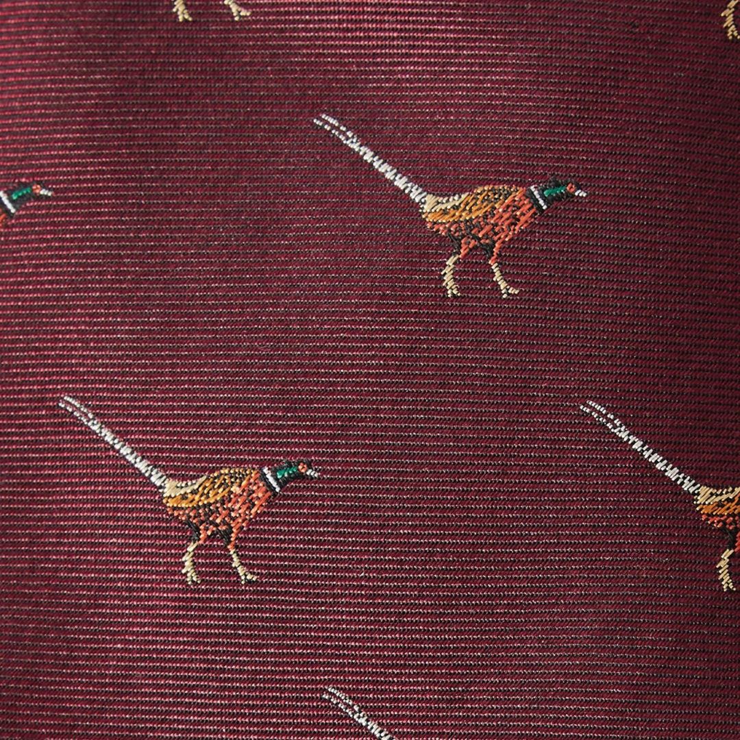 Dubarry Men's Madden Silk Tie in Merlot