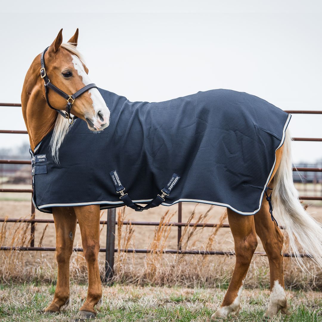 Horseware Rambo Techni-Waffle Cooler in Navy/Beige & Baby Blue & Navy (No Fill)