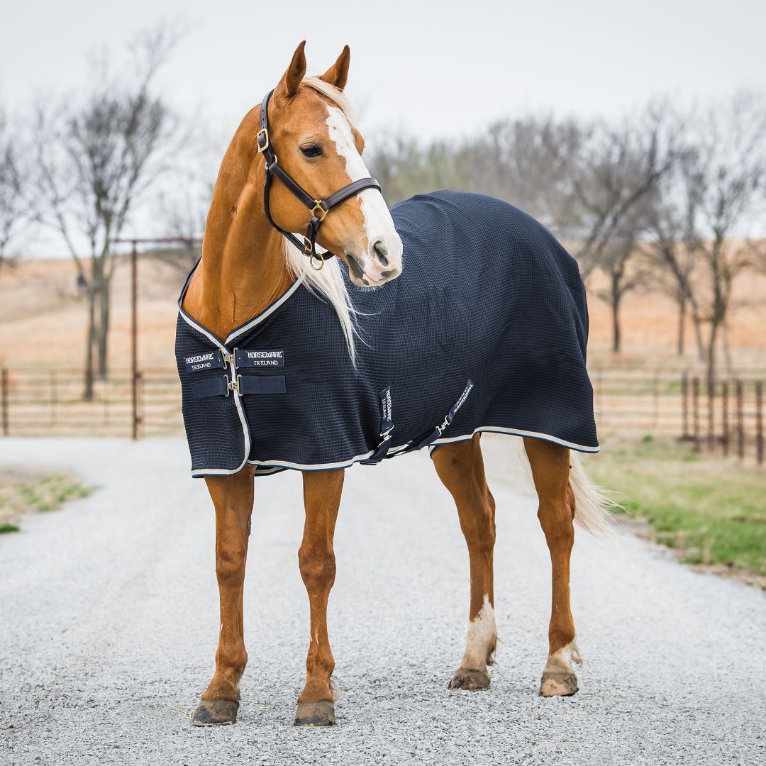 Horseware Rambo Techni-Waffle Cooler in Navy/Beige & Baby Blue & Navy (No Fill)