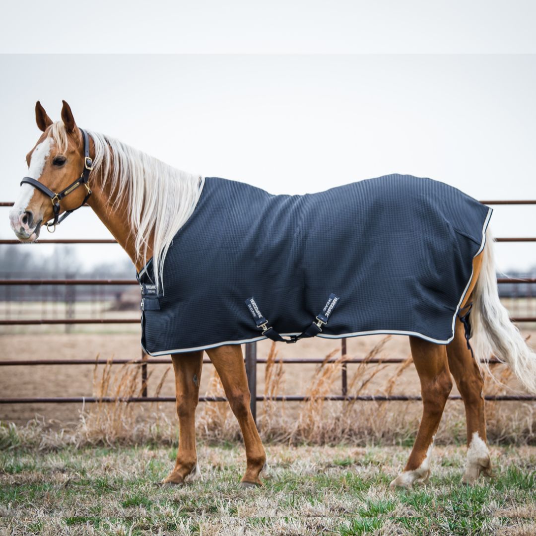 Horseware Rambo Techni-Waffle Cooler in Navy/Beige & Baby Blue & Navy (No Fill)