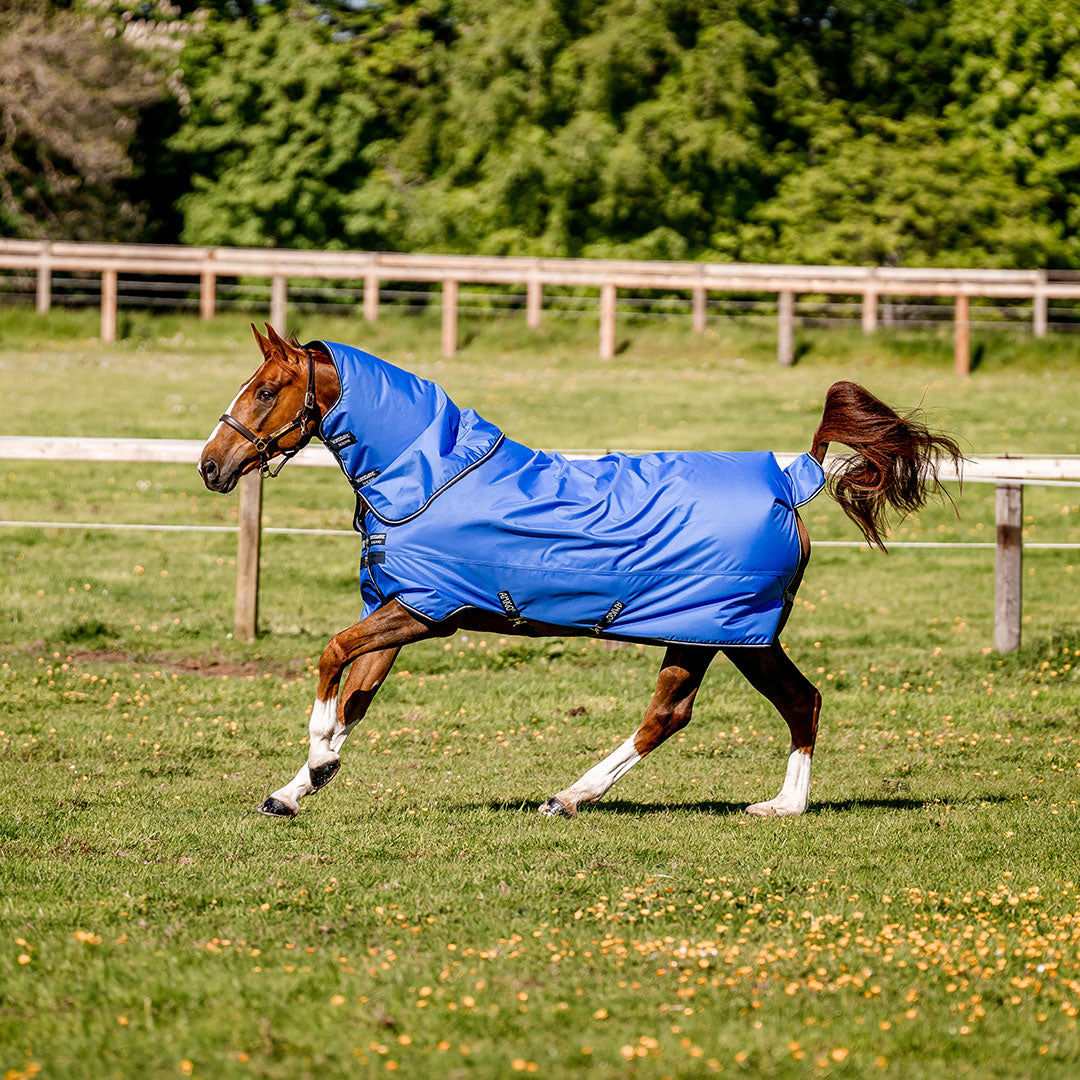 Horseware Amigo Hero Ripstop Plus Light Turnout Rug in Blue, Navy & Grey (100g)