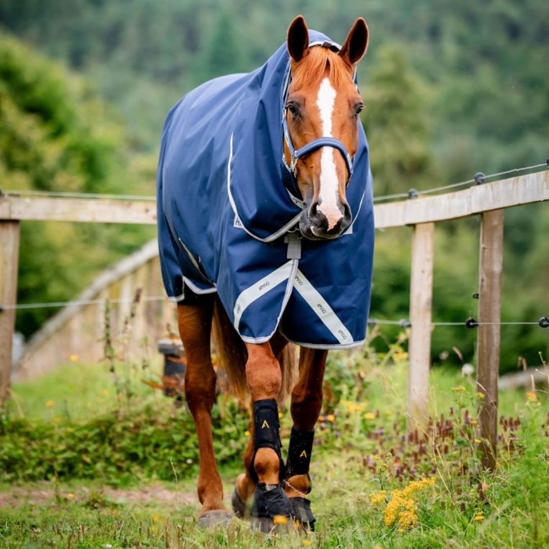 Horseware Amigo Bravo 12 Plus Heavy Turnout Rug in Navy & Titanium (400g)