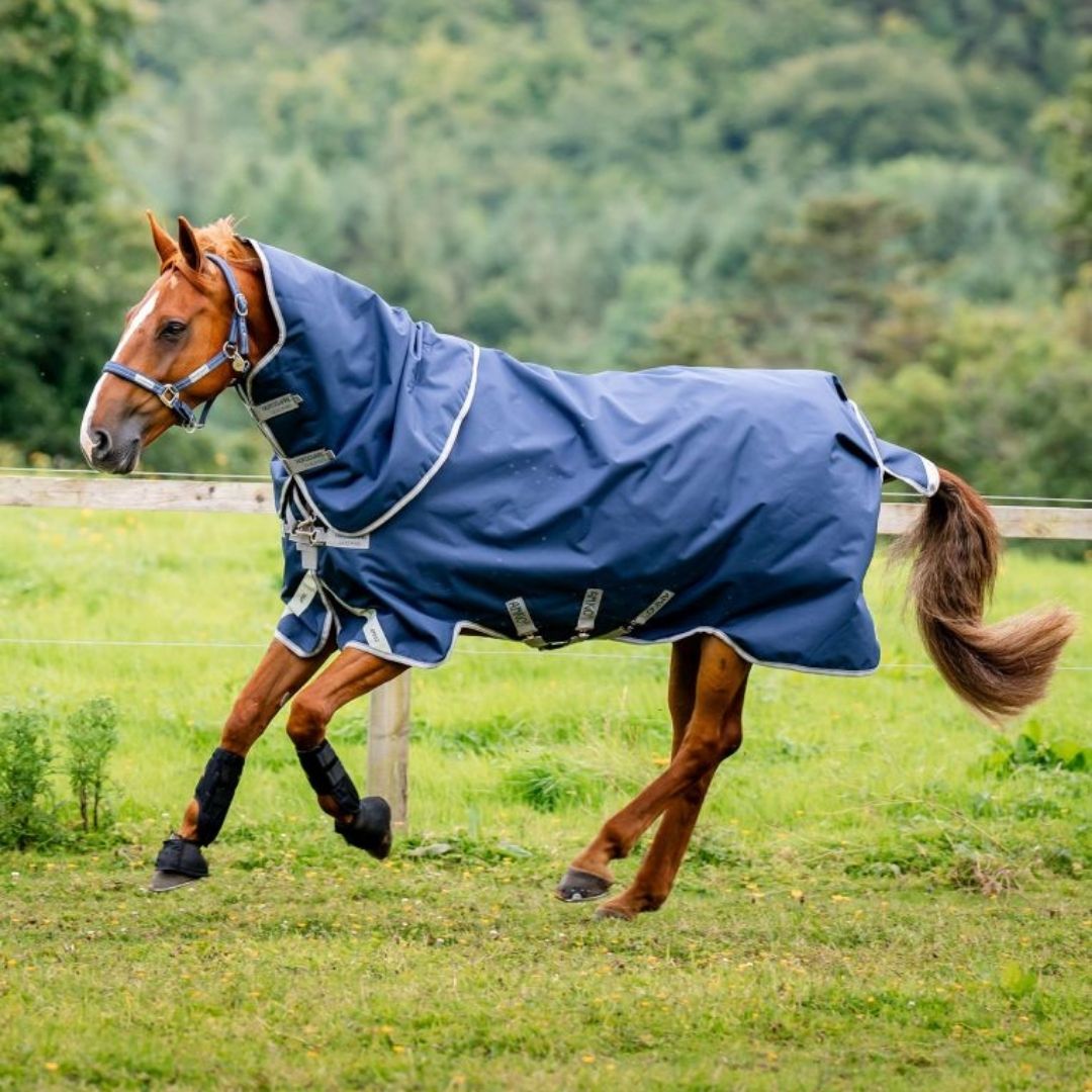 Horseware Amigo Bravo 12 Plus Heavy Turnout Rug in Navy & Titanium (400g)