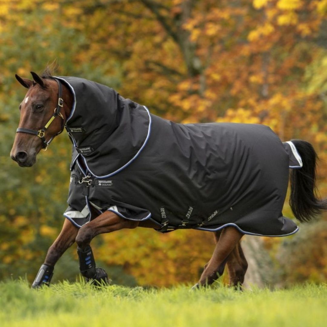 Horseware Amigo Bravo 12 Pony Plus Medium Turnout Rug in Black & Strong Blue (250g)