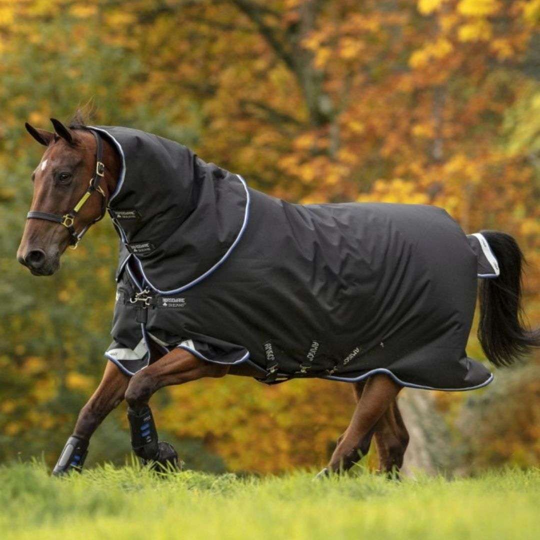 Horseware Amigo Bravo 12 Pony Plus Medium Turnout Rug in Black & Strong Blue (250g)