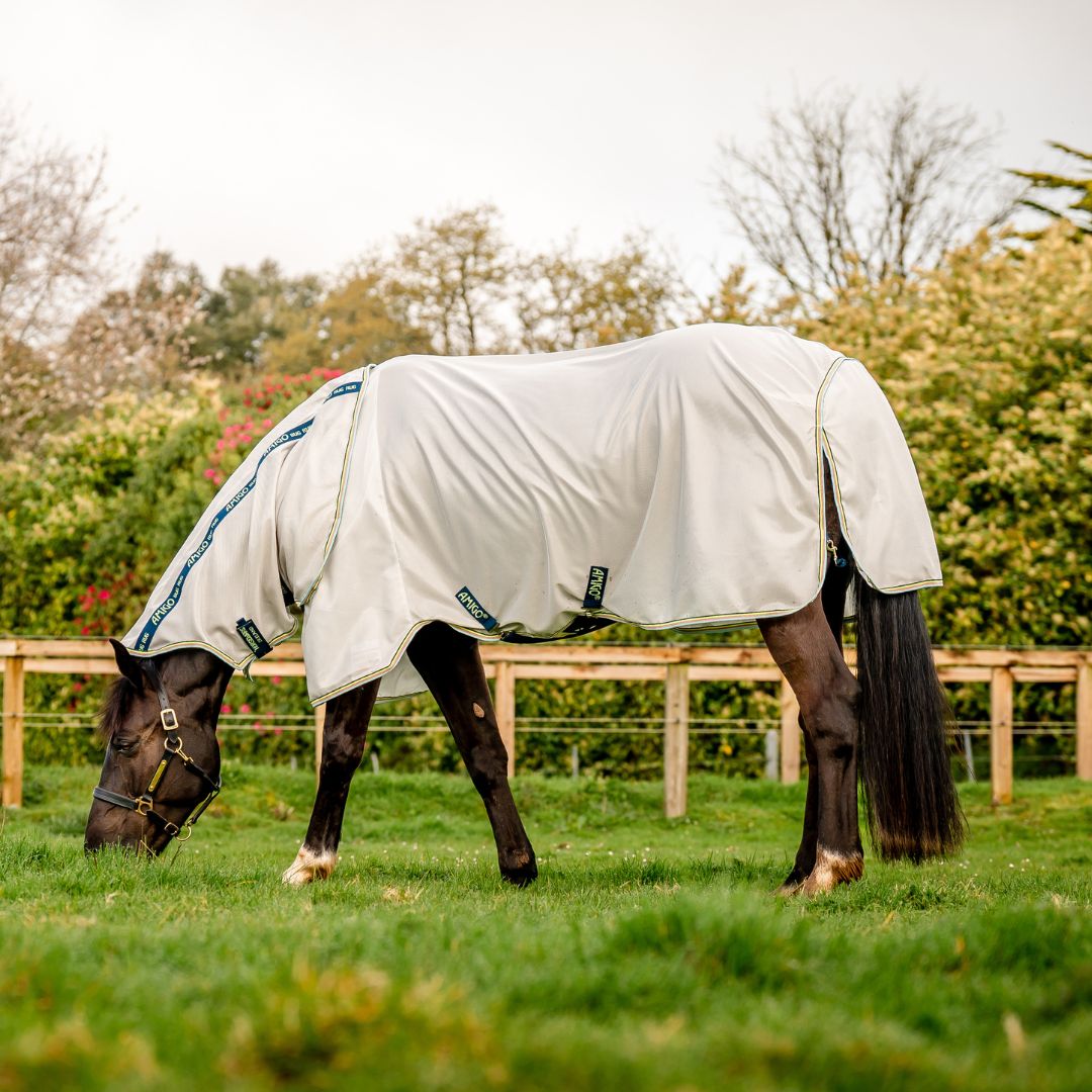 Horseware Amigo Bug Rug in Lunar Rock, Navy & Lime