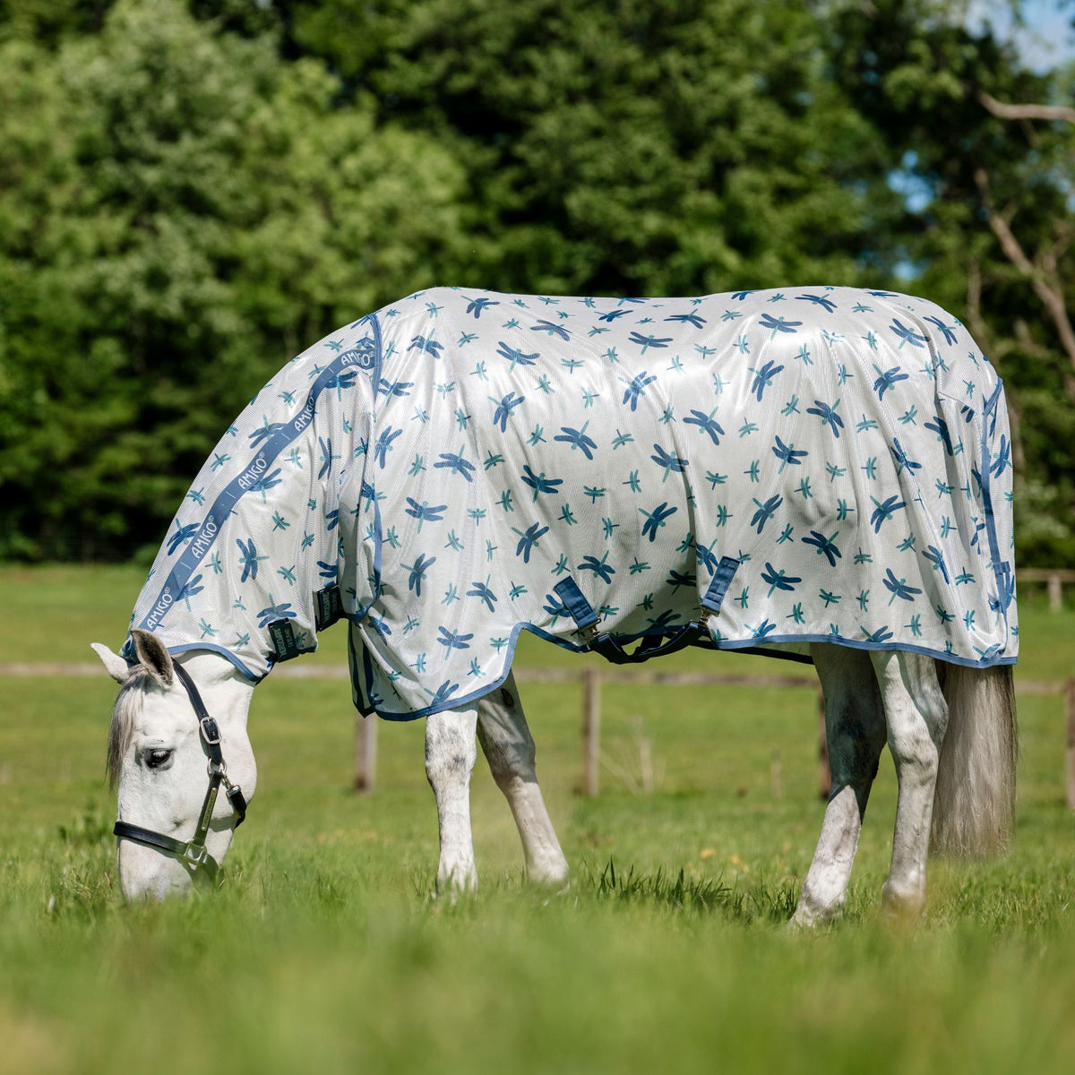 Horseware Amigo Integrated Fly Sheet in Dragonfly Print/Silver, Blue & Sage