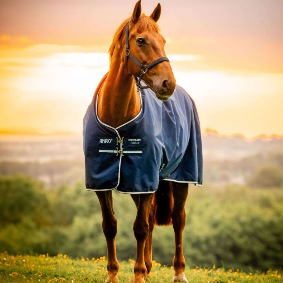 Horseware Amigo Ripstop 900D Fleece Lined Light Turnout Rug in Whitney Navy (50g)