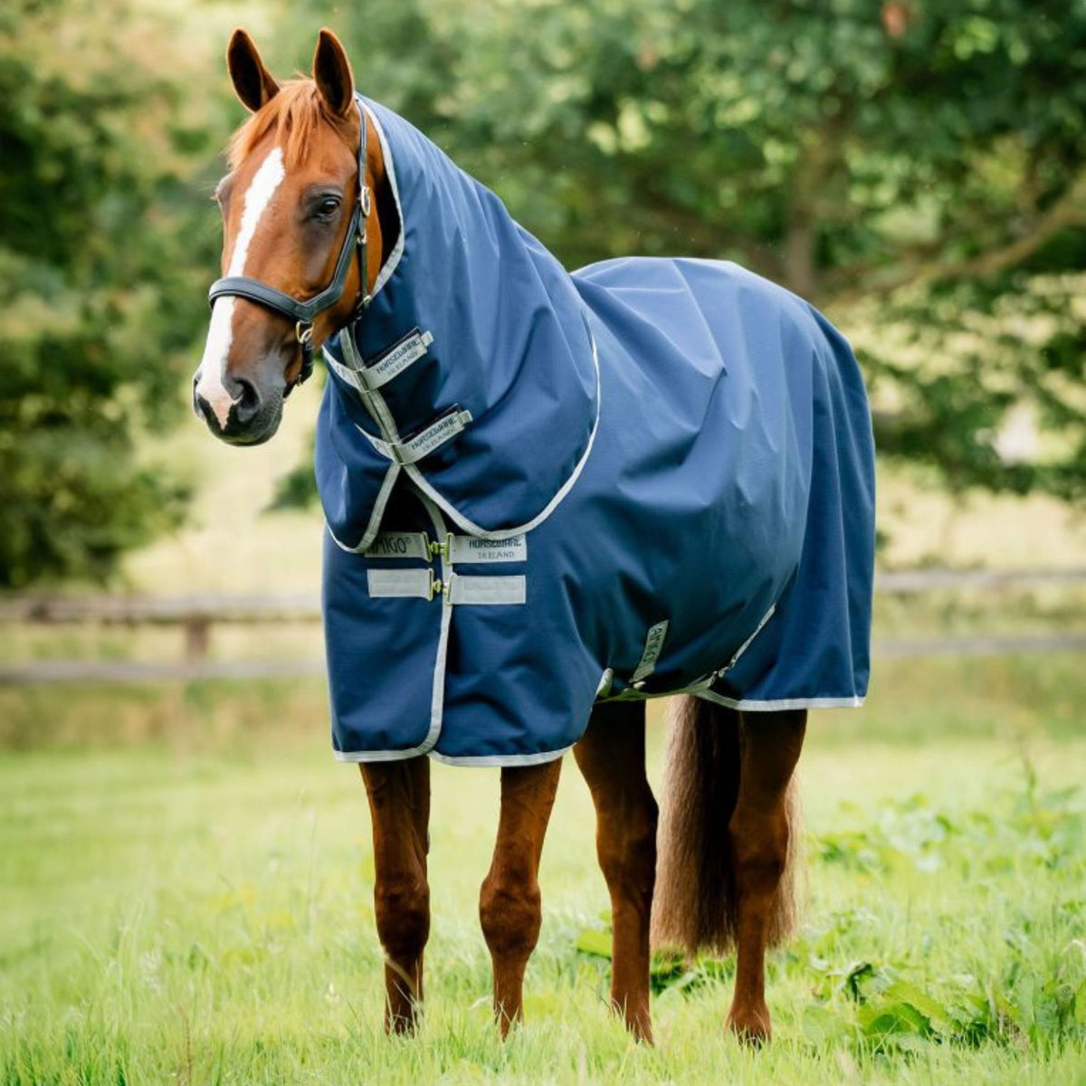 Horseware Amigo Ripstop 900D Plus Medium Turnout Rug in Navy & Titanium Grey (200g)