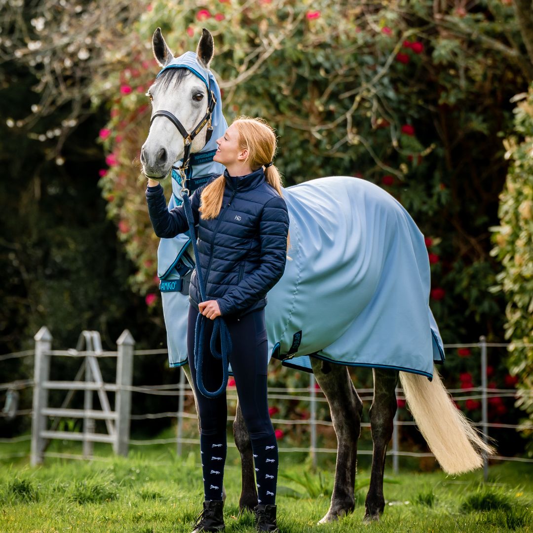 Horseware Amigo Ripstop Hoody Rug in Azure Blue, Navy & Electric Blue