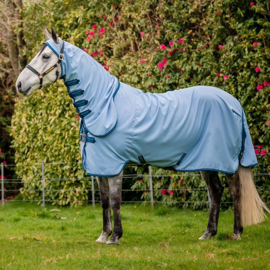 Horseware Amigo Ripstop Hoody Rug in Azure Blue, Navy & Electric Blue
