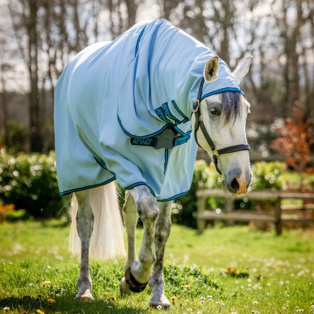 Horseware Amigo Ripstop Hoody Rug in Azure Blue, Navy & Electric Blue