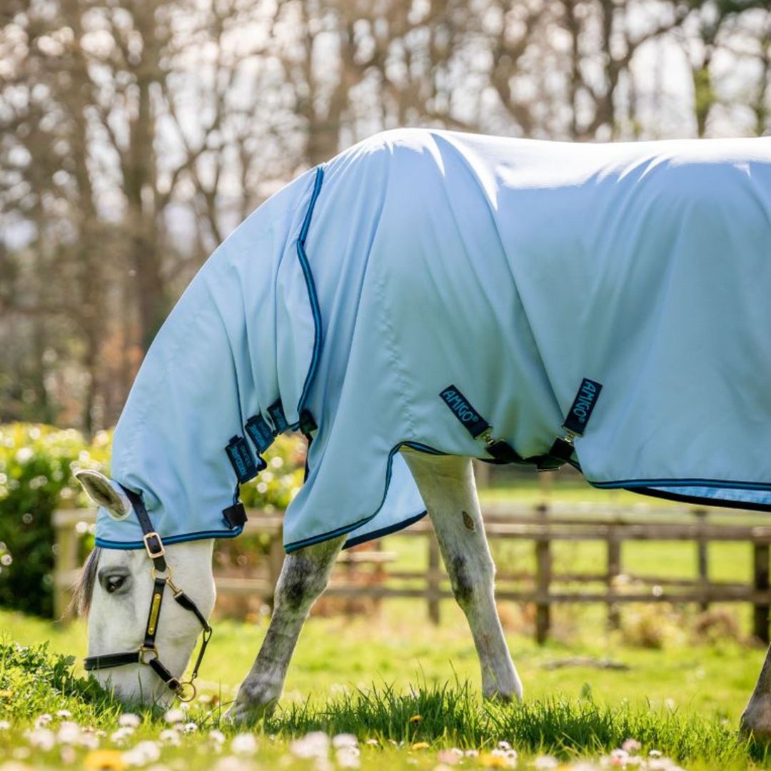 Horseware Amigo Ripstop Hoody Rug in Azure Blue, Navy & Electric Blue