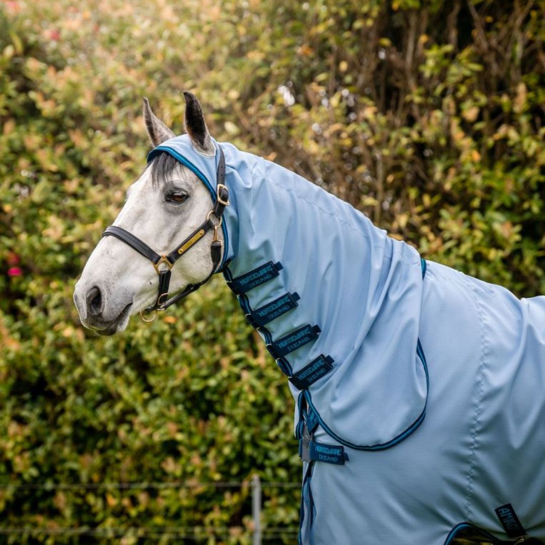 Horseware Amigo Ripstop Hoody Rug in Azure Blue, Navy & Electric Blue