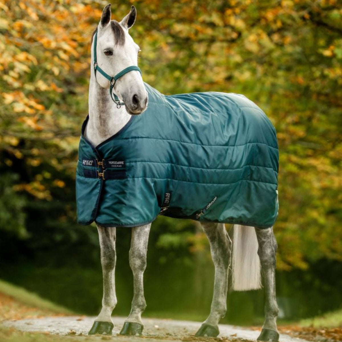 Horseware Amigo Ripstop Insulator Stable Medium Rug in Dynasty Green (200g)