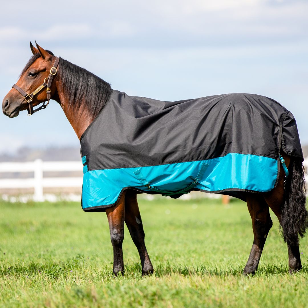 Horseware Mio One Piece Medium Turnout Rug in Turquoise & Black (200g)