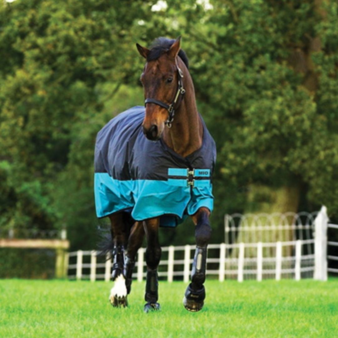 Horseware Mio One Piece Medium Turnout Rug in Turquoise & Black (200g)