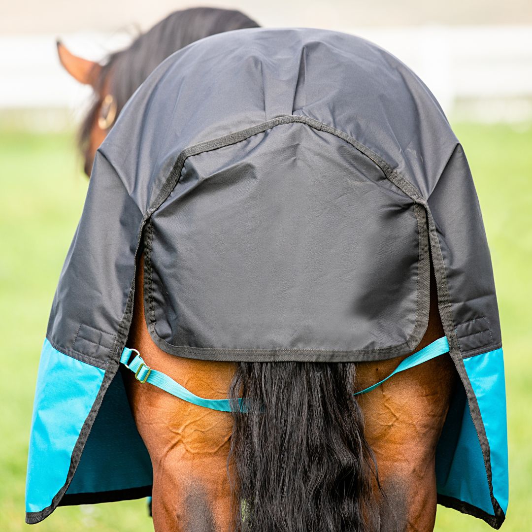 Horseware Mio One Piece Medium Turnout Rug in Turquoise & Black (200g)