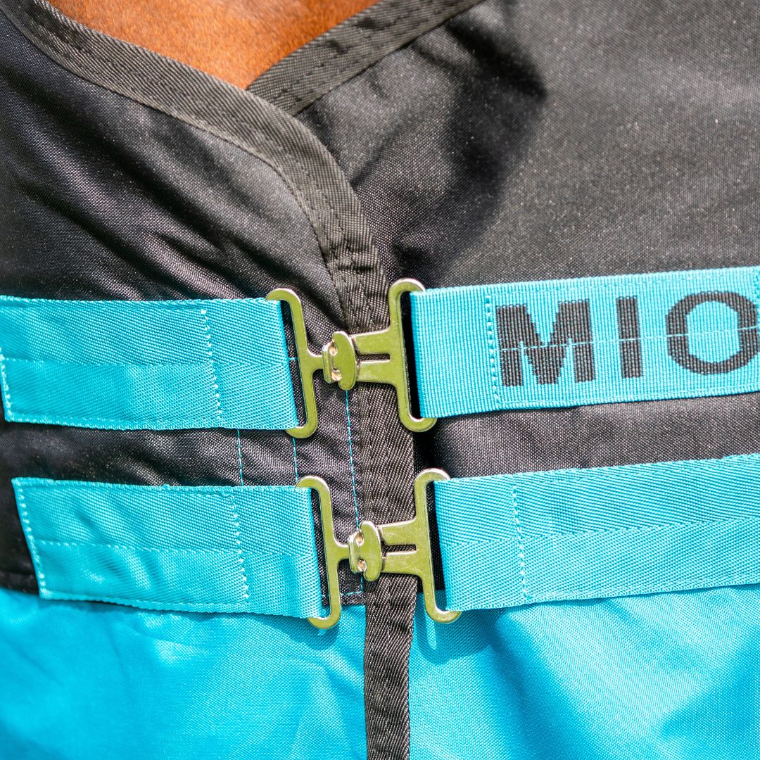 Horseware Mio One Piece Medium Turnout Rug in Turquoise & Black (200g)