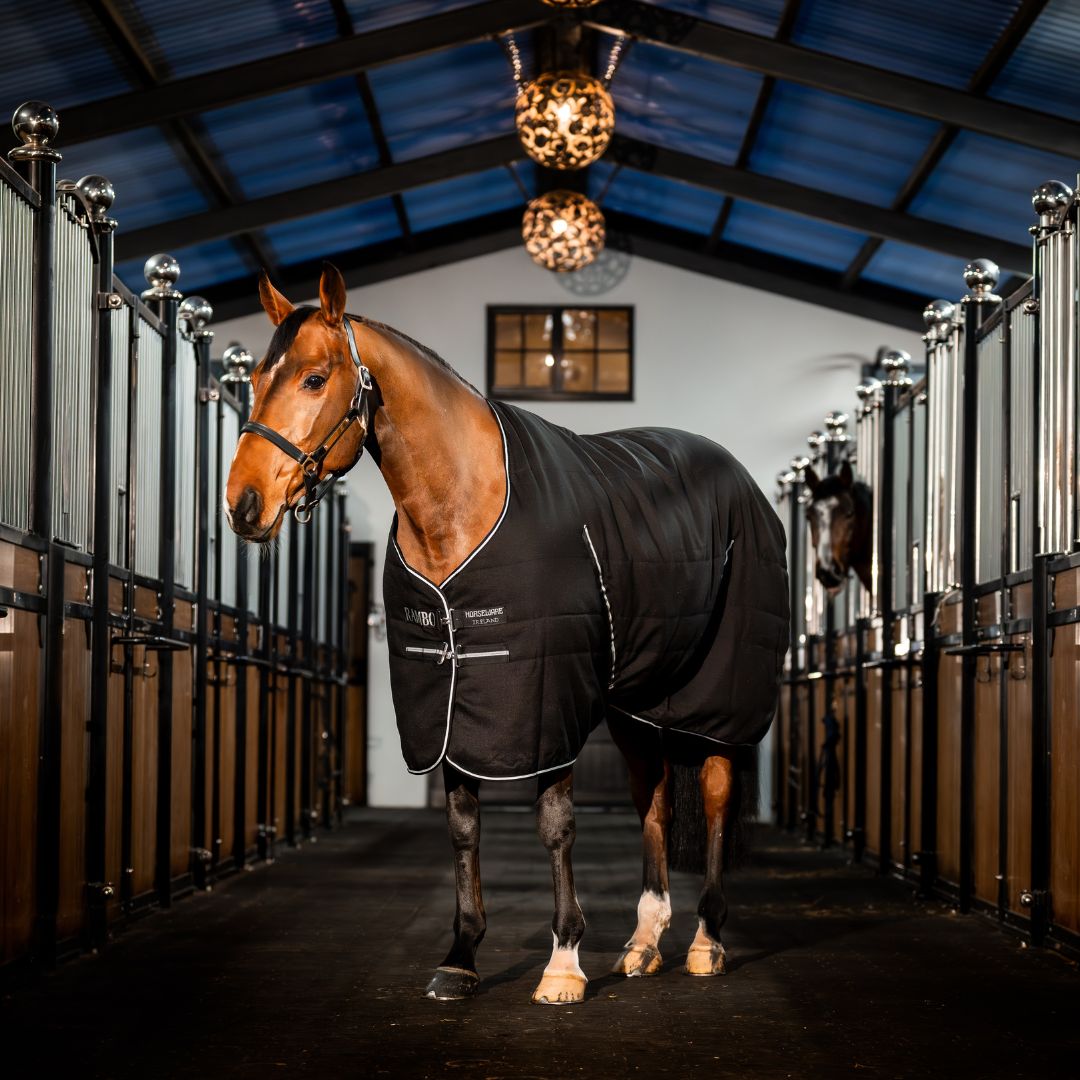 Horseware Rambo Stable Medium Rug in Black & Silver (200g)
