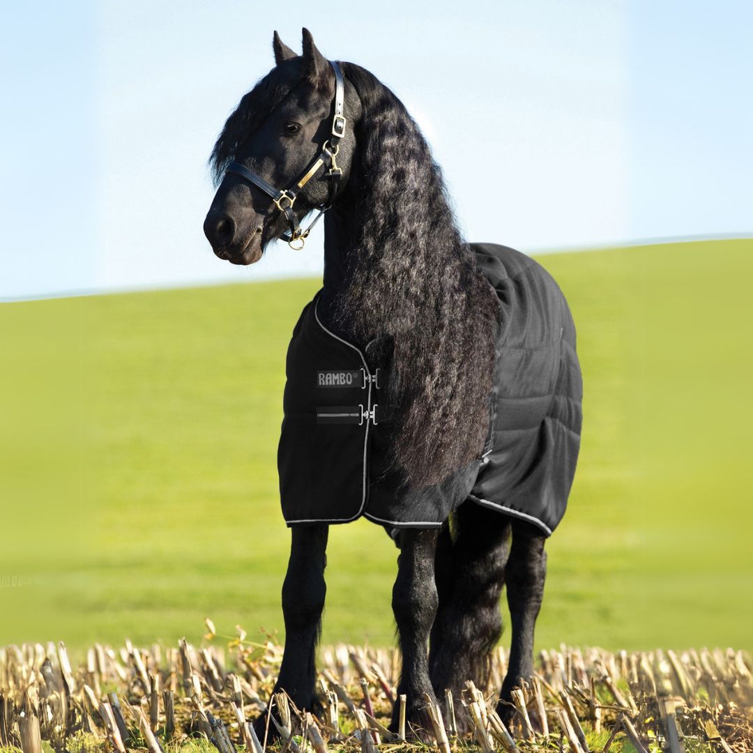 Horseware Rambo Stable Medium Rug in Black & Silver (200g)