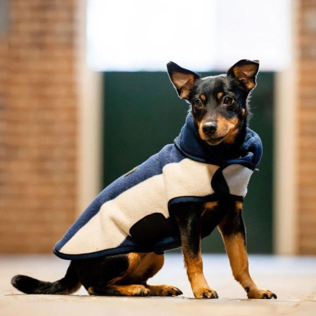 Horseware Signature Dog Fleece with Witney Stripes in Navy (No Fill)