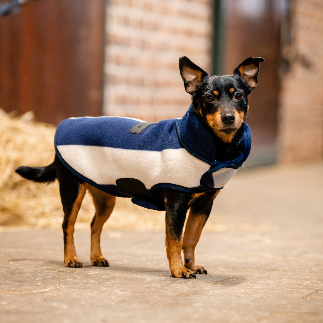 Horseware Signature Dog Fleece with Witney Stripes in Navy (No Fill)