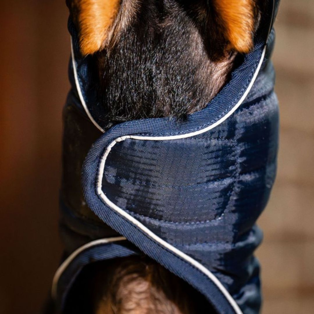 Horseware Signature Dog Medium Rug in Navy (200g)