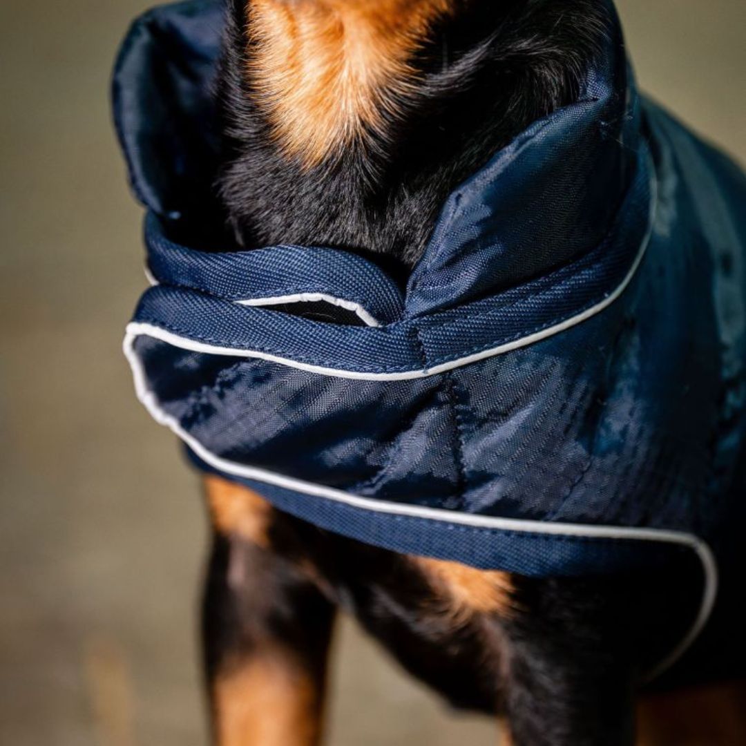 Horseware Signature Dog Medium Rug in Navy (200g)