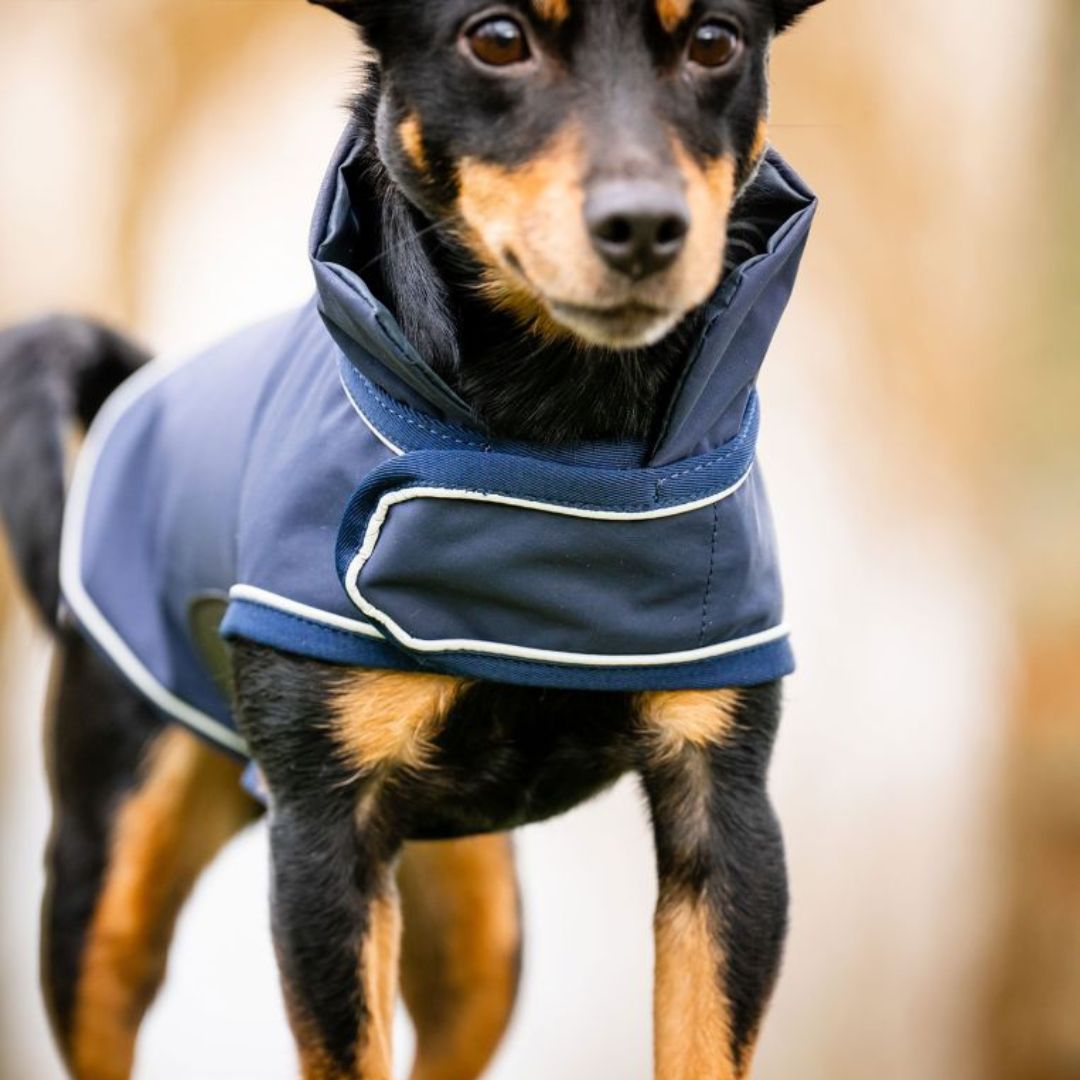 Horseware Signature Dog Rain Coat in Navy (No Fill)