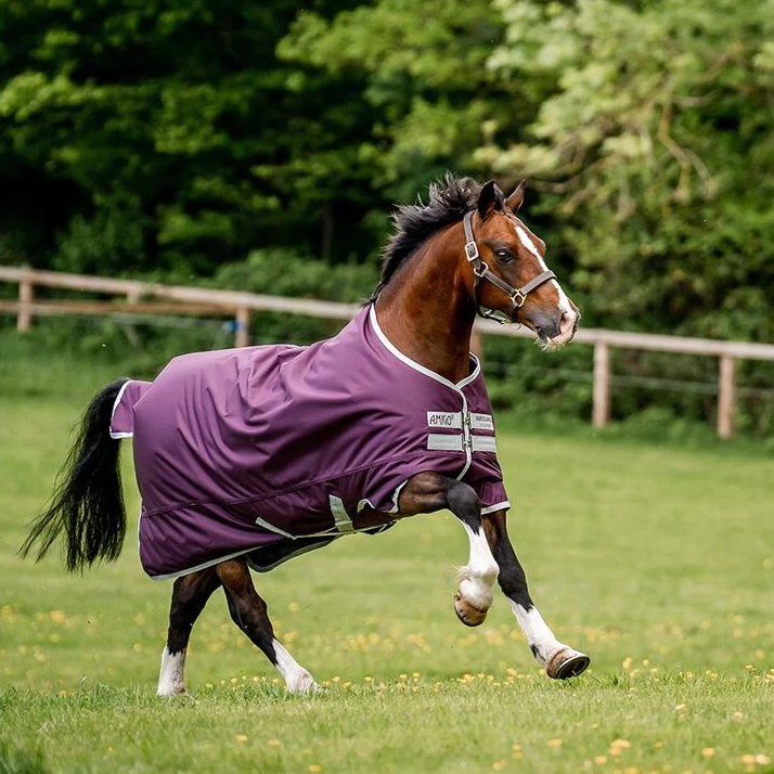 Horseware Amigo Hero Ripstop Turnout Rug Lite in Fig & Tan (100g)