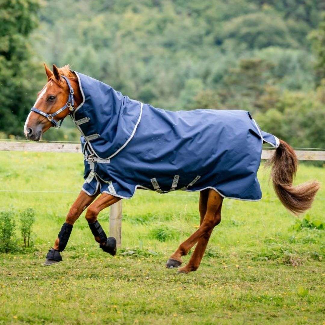 Horseware Amigo Ripstop 900D Plus Turnout Rug in Navy/Titanium Grey (200g)