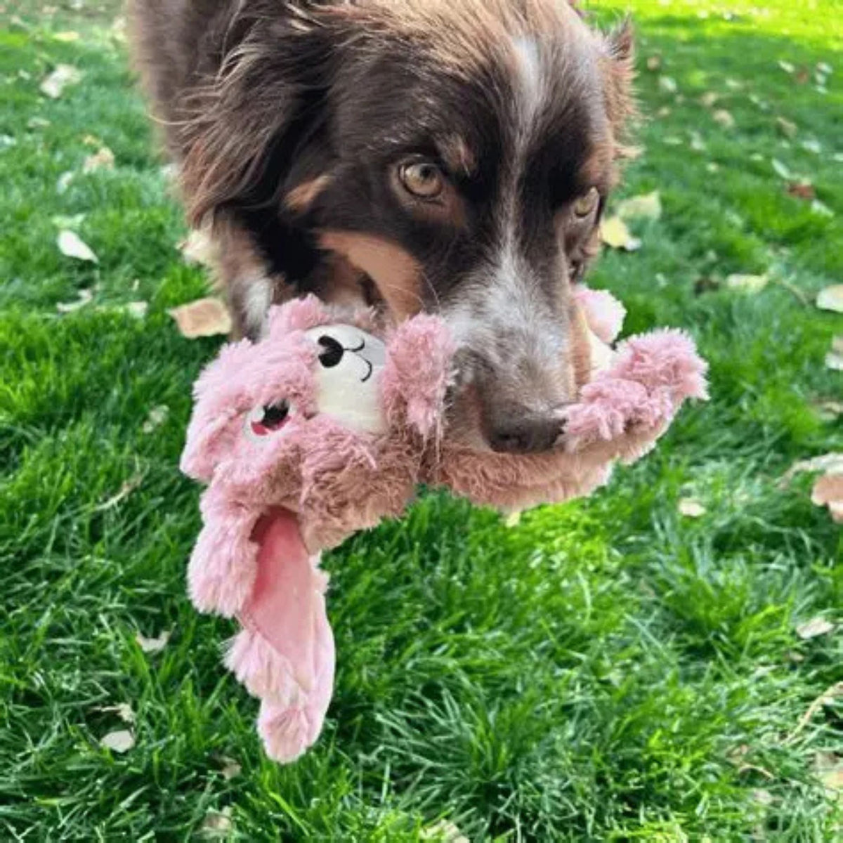 KONG Scrumplez Bunny Dog Plush Toy