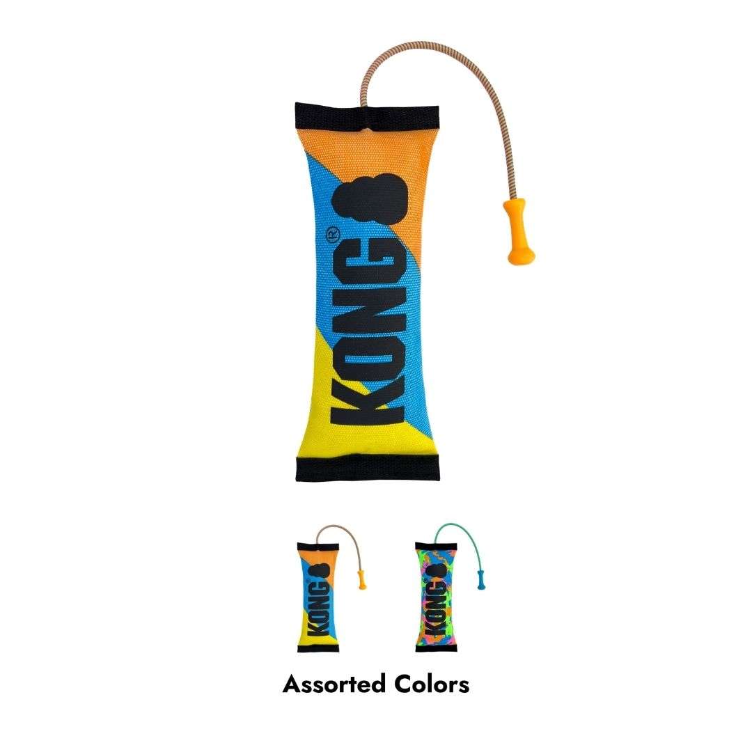 KONG Bunji Hi-Viz Bumper Dog Toy in Assorted Colours