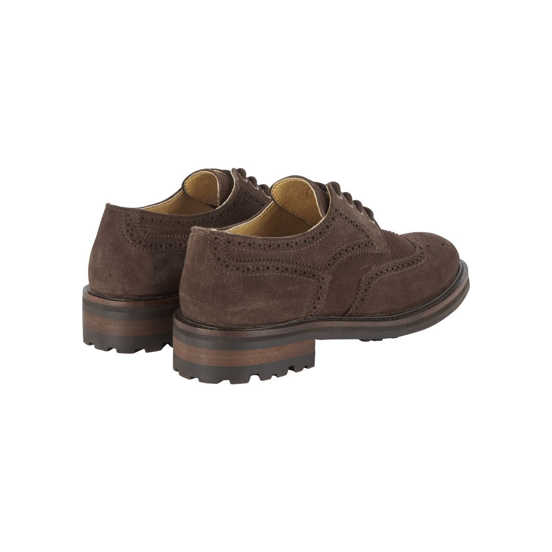 Le Chameau Men's Normandy Suede Brogue in Marron Fonce