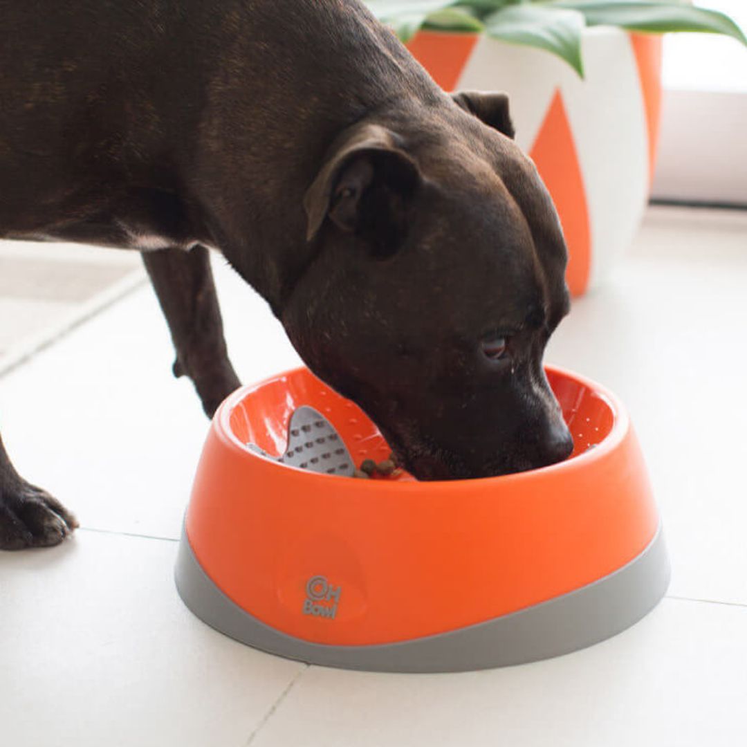 LickiMat Oh Bowl Large Dog Bowl in Orange