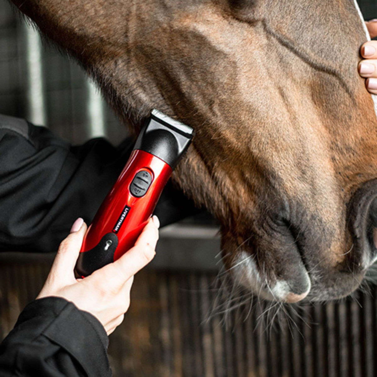 Liveryman Classic Horse Trimmer