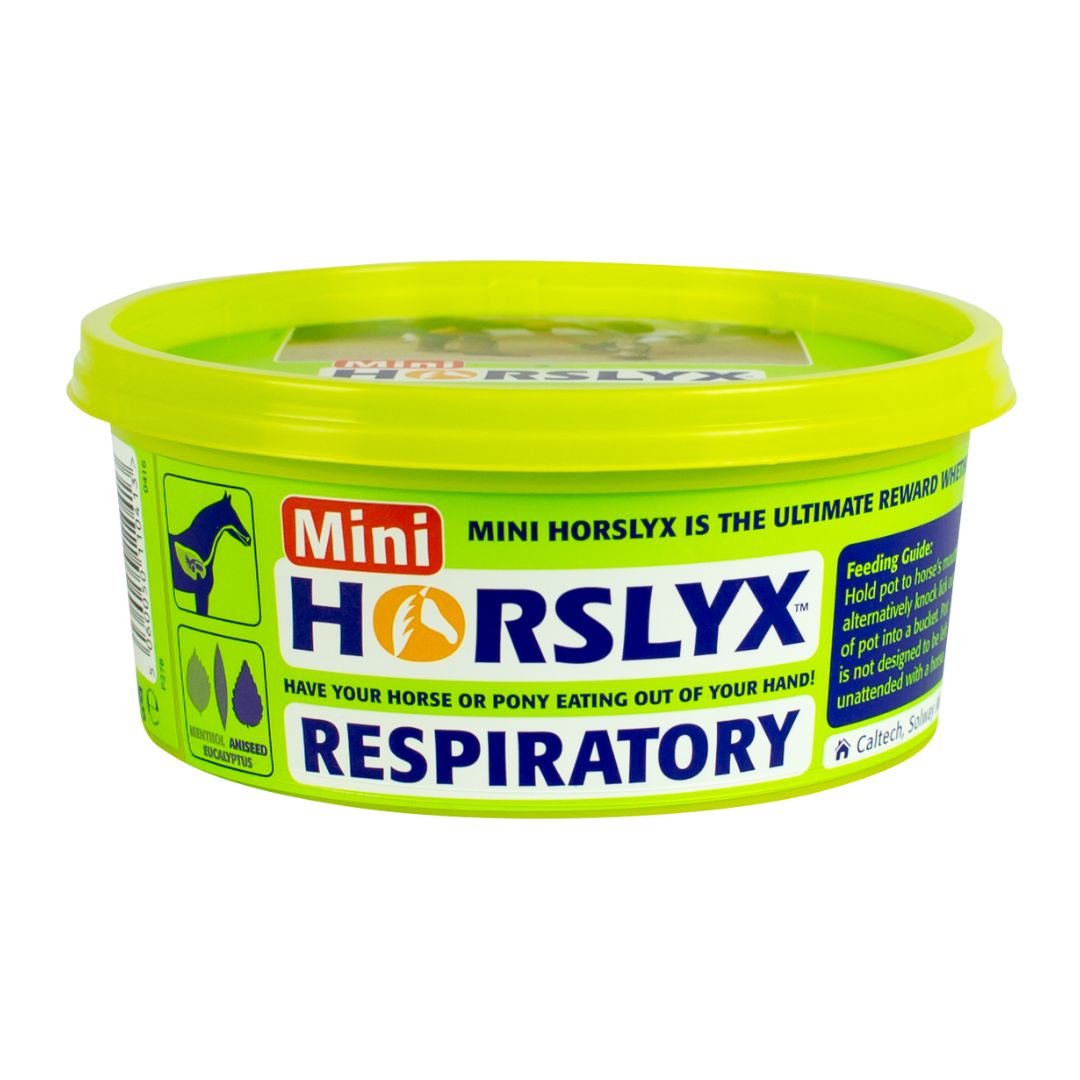 Horslyx Respiratory Mini 650g