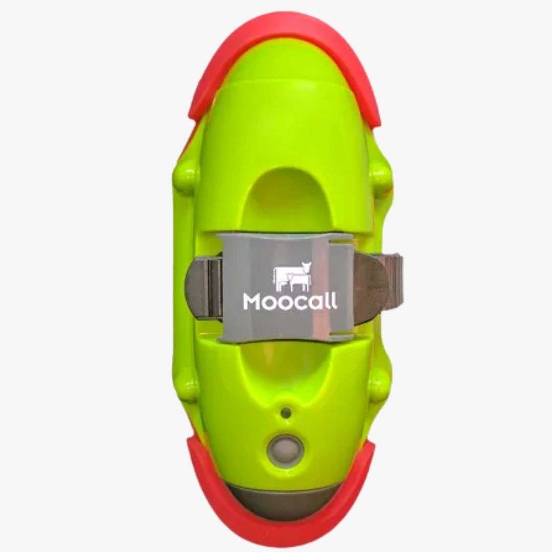 Moocall Calving Sensor