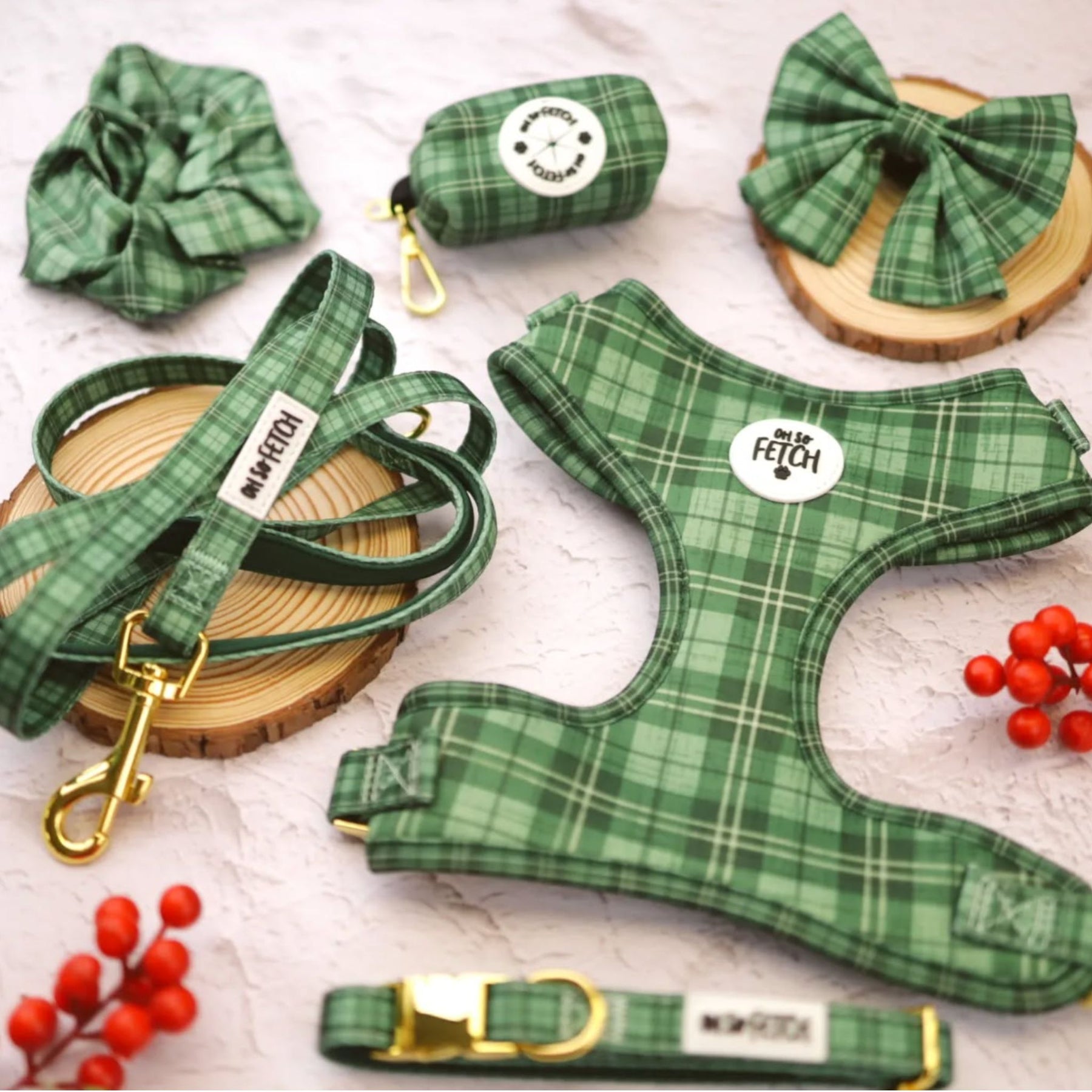 Oh So Fetch Mossy Meadows Padded Dog Collar in Green