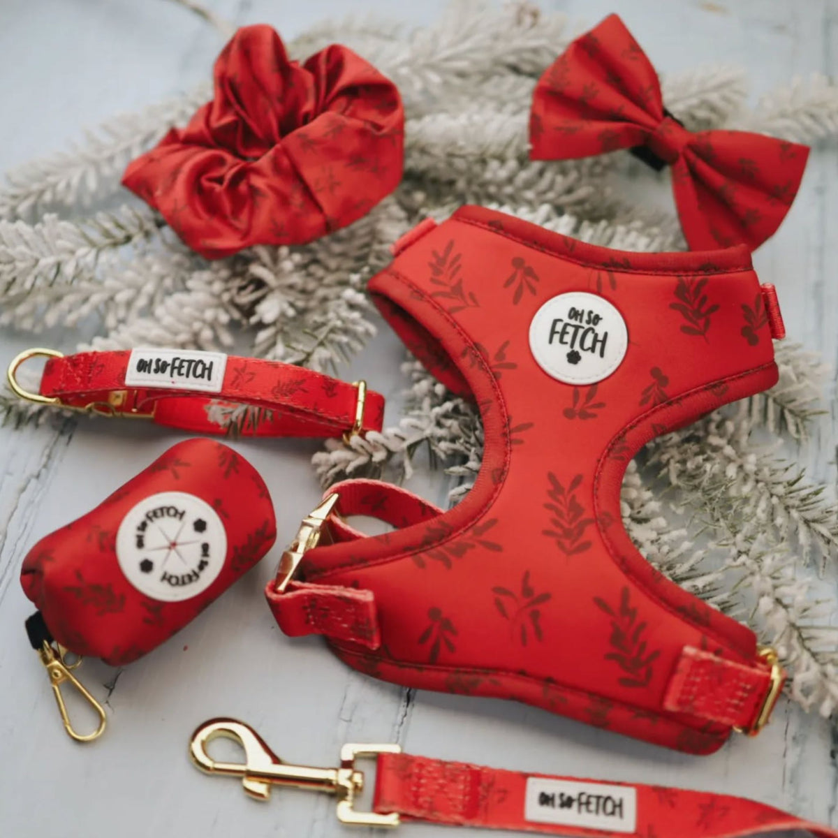 Oh So Fetch Mulberry Padded Dog Lead in Red