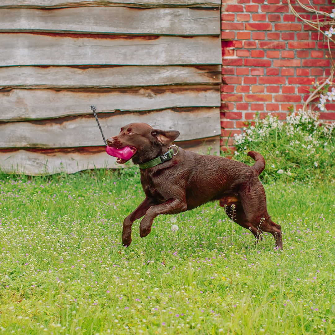 Nobby Rio Raspberry Snack Dummy5