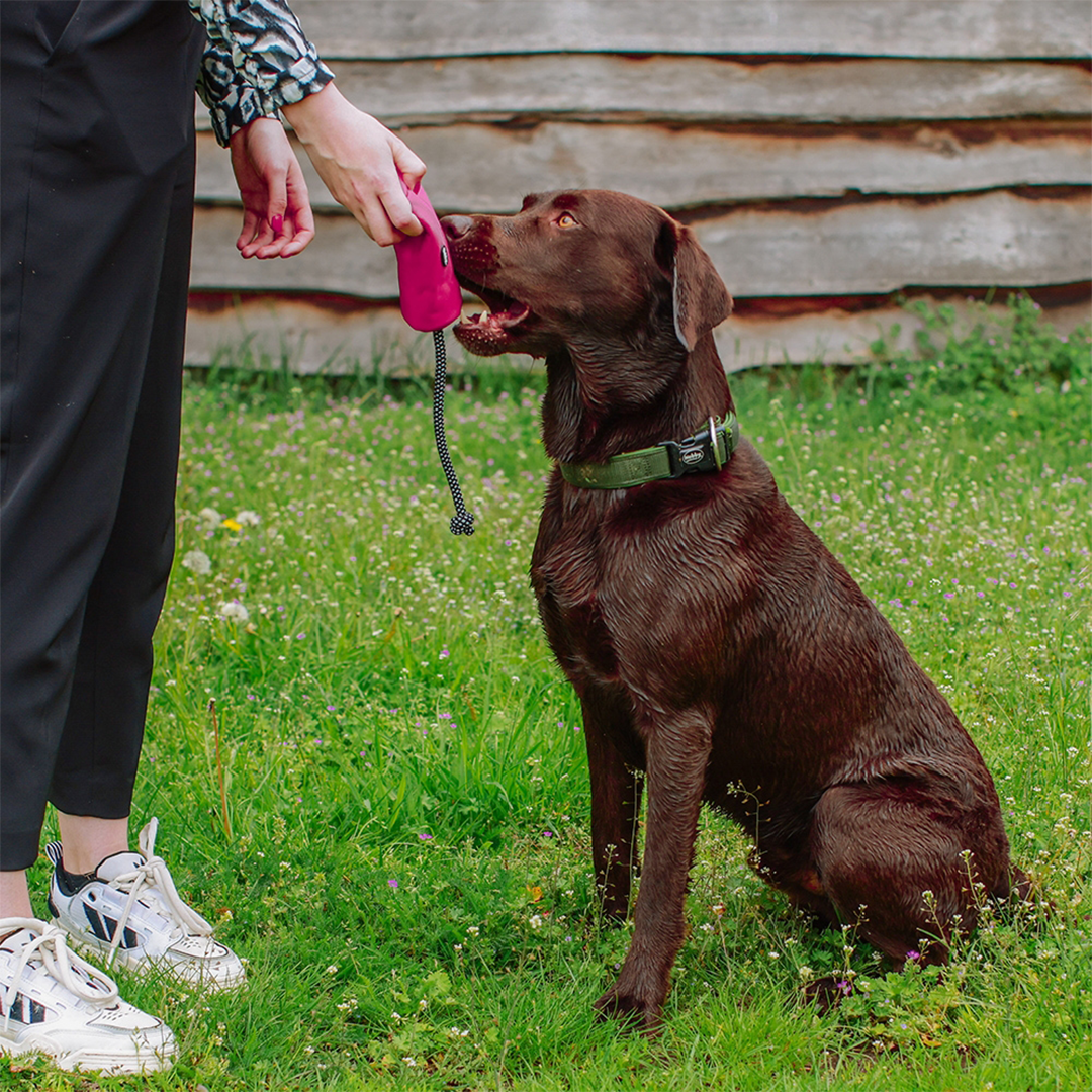 Nobby Rio Raspberry Snack Dummy6