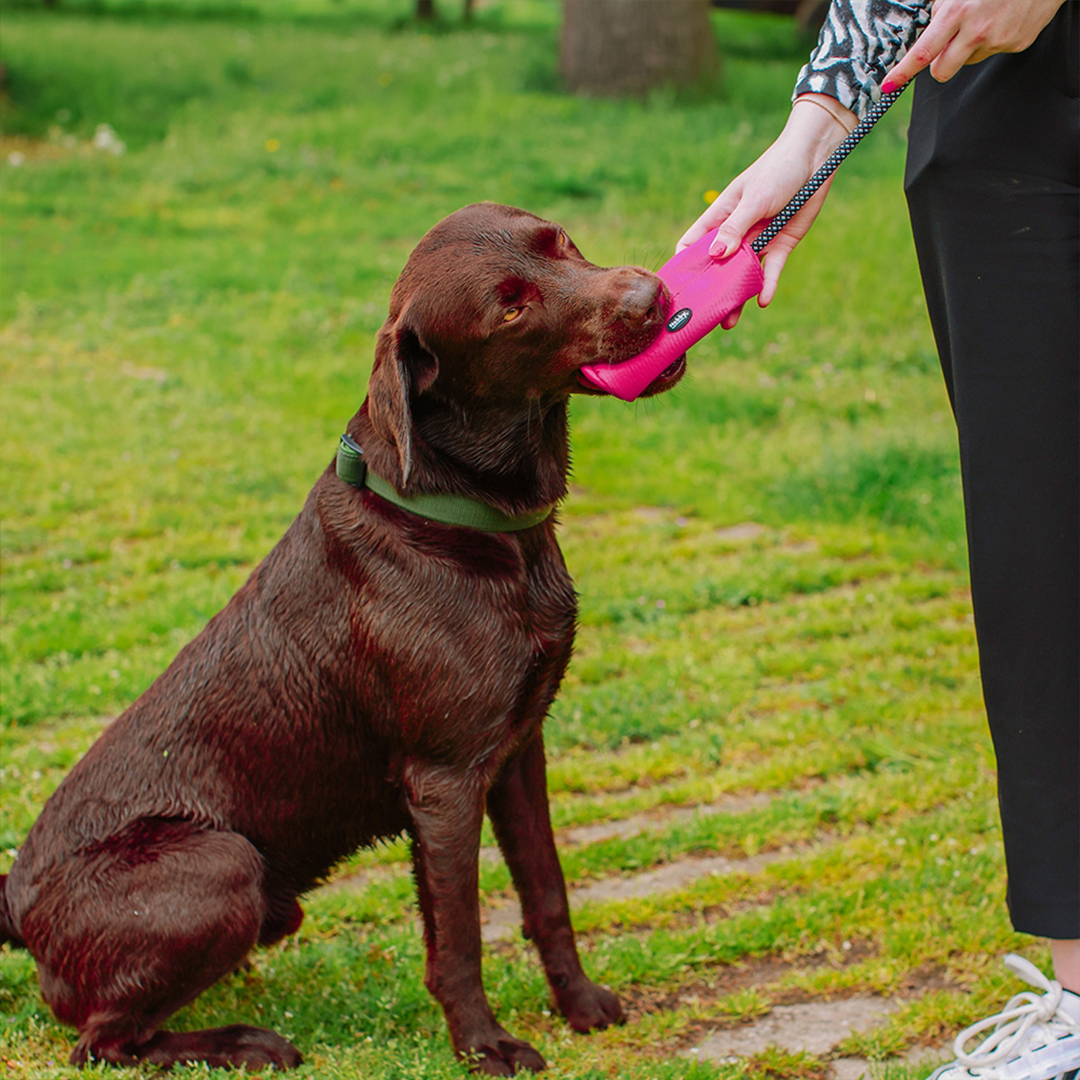 Nobby Rio Raspberry Snack Dummy1