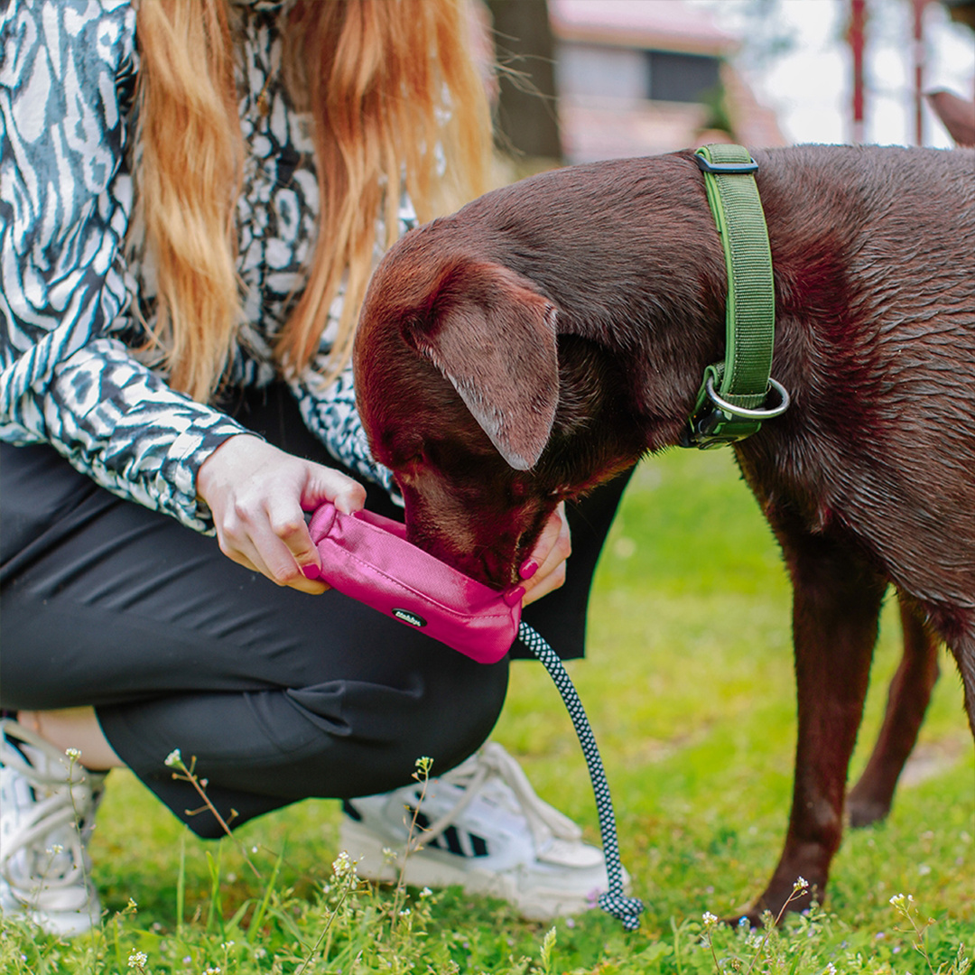 Nobby Rio Raspberry Snack Dummy2