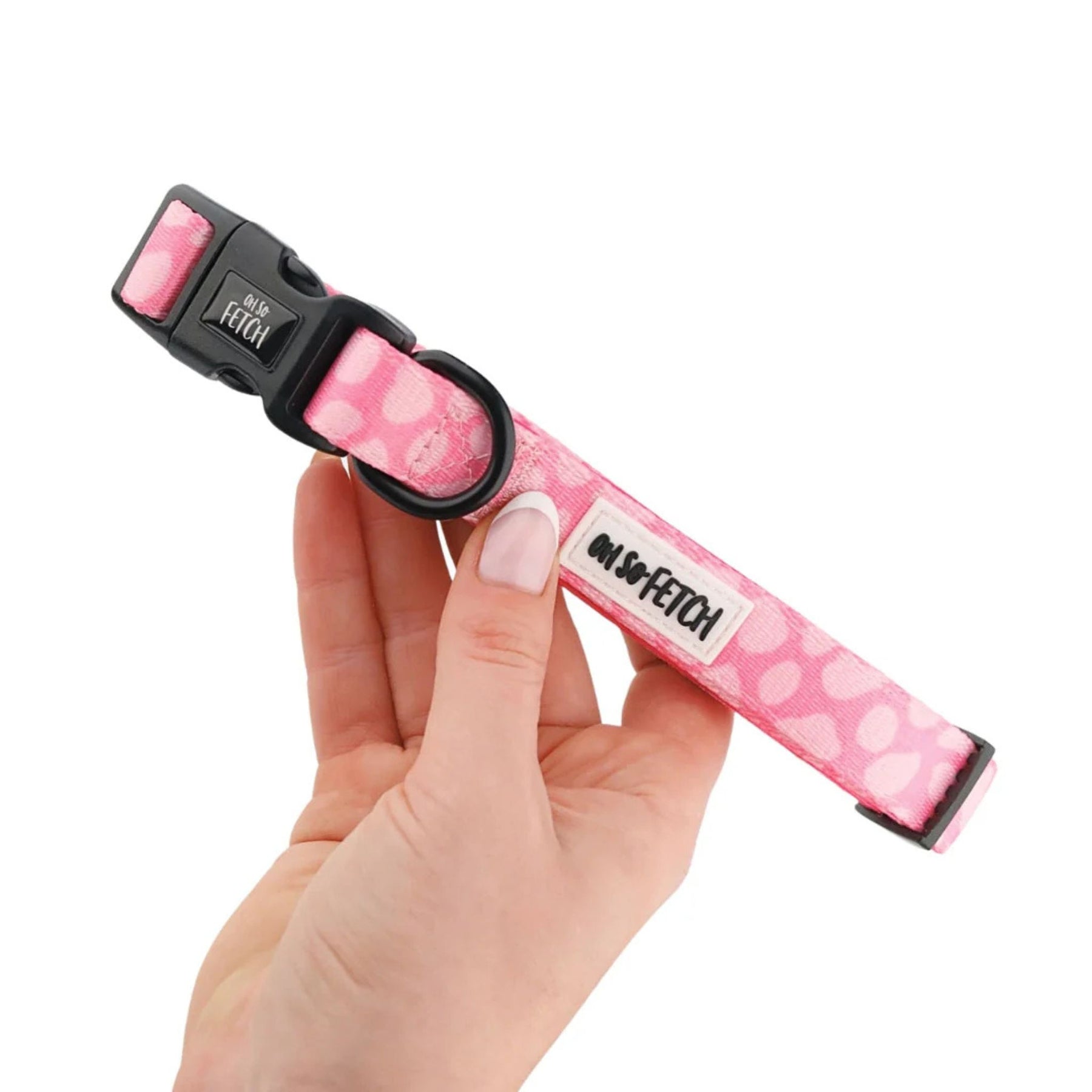 Oh So Fetch Pretty Wild Padded Dog Collar in Pink