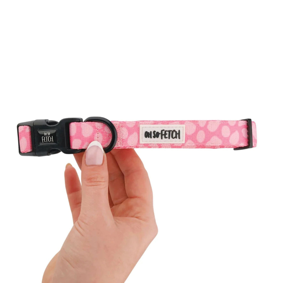 Oh So Fetch Pretty Wild Padded Dog Collar in Pink